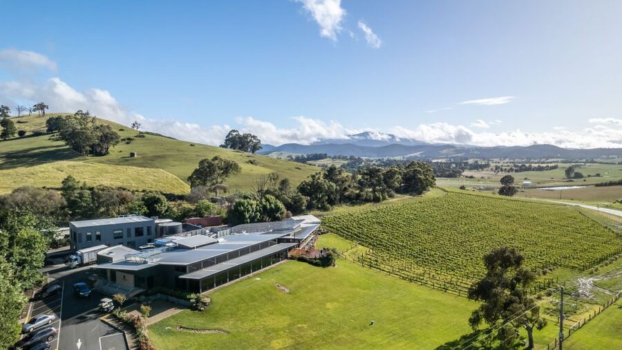 Melbourne: Private Yarra Valley Winery Lunch by Helicopter - Who will enjoy this most