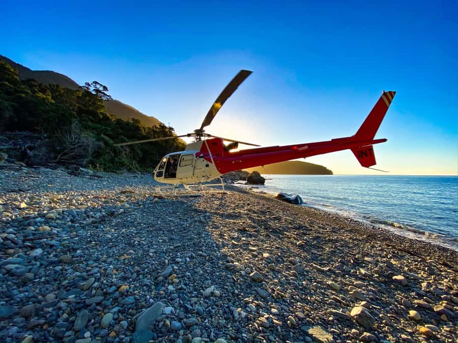 Milford Sound Extended Helicopter Flight & 3 Landings - First landing: Milford Sound on foot