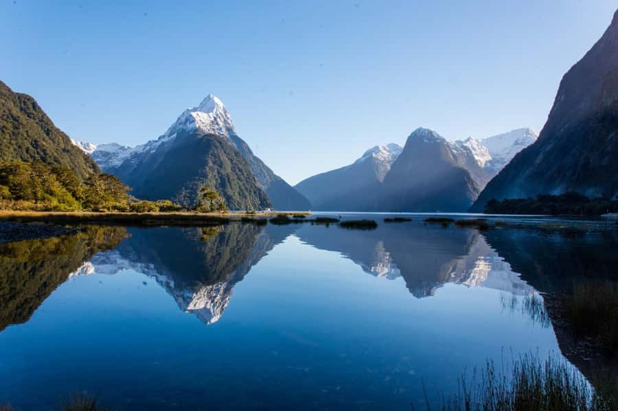 Milford Sound Scenic Helicopter Flight with Landing - Key points to know before booking