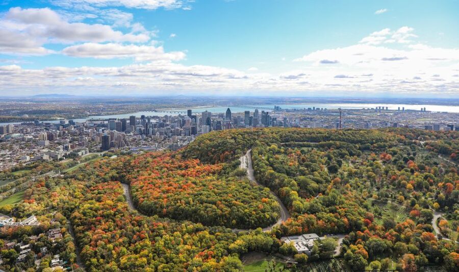 Montreal: Guided Helicopter Tour - The pilot and the feel of a first helicopter ride