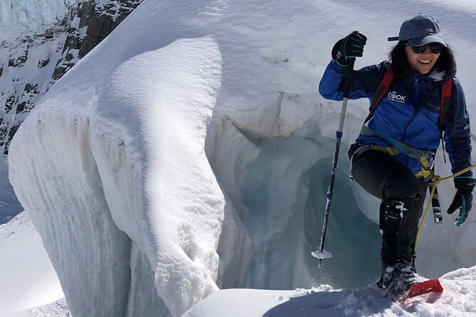 Mt Cook Small Group Tour & Heli Hike Combo from Queenstown - Walking on the Tasman Glacier