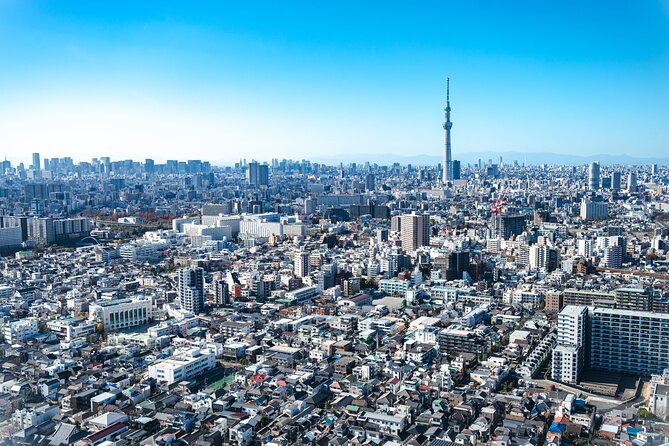 Mt. Fuji & Tokyo Luxury Helicopter Tour【90Mins-5pax】Breathtaking! - Minato Mirai and the Tokaido coastline