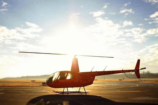 New Orleans City and Swamp Helicopter Tour - The Superdome and New Orleans Scale