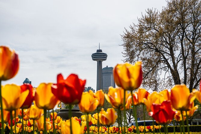 Niagara Falls Canada: Helicopter + Boat + Lunch & more US Pick-up - Maple Leaf Place, lunch, and Canadian maple tasting