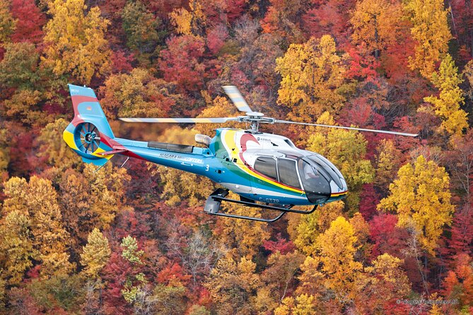 Niagara Falls Canada Helicopter Tour - What the strongest praise tells you