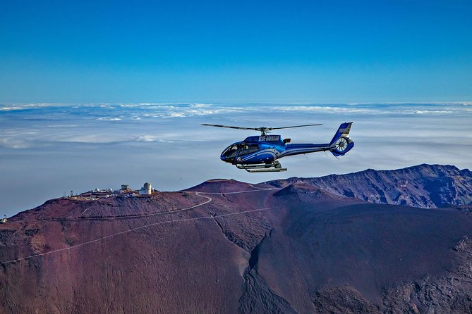 Oahu to Big Island : Big Island Volcano Helicopter Tour & Hilo 1 Day Tour - The guide can make or break the ground tour