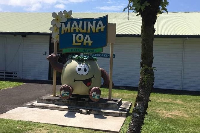 Oahu to Big Island : Big Island Volcano Helicopter Tour & Hilo 1 Day Tour - The 5:00 am start at Honolulu airport