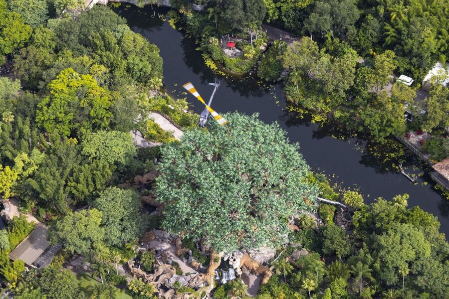 Orlando: Narrated Day Helicopter Flight Over Theme Parks - Who will enjoy this flight most?