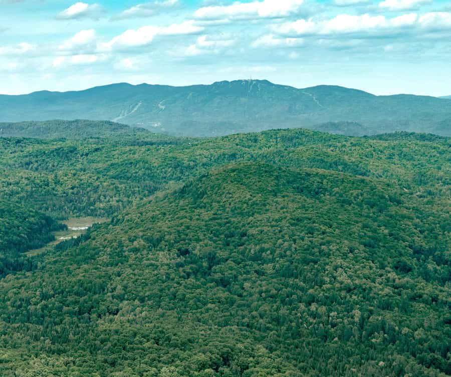 Ottawa: Panoramic helicopter flight (Gatineau Park + downtown) - The 30-minute flight: the fullest aerial loop
