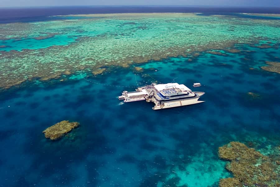Port Douglas: Outer Barrier Reef Cruise & 10 Min Helicopter - Snorkeling, fish feeding, and optional scuba activities