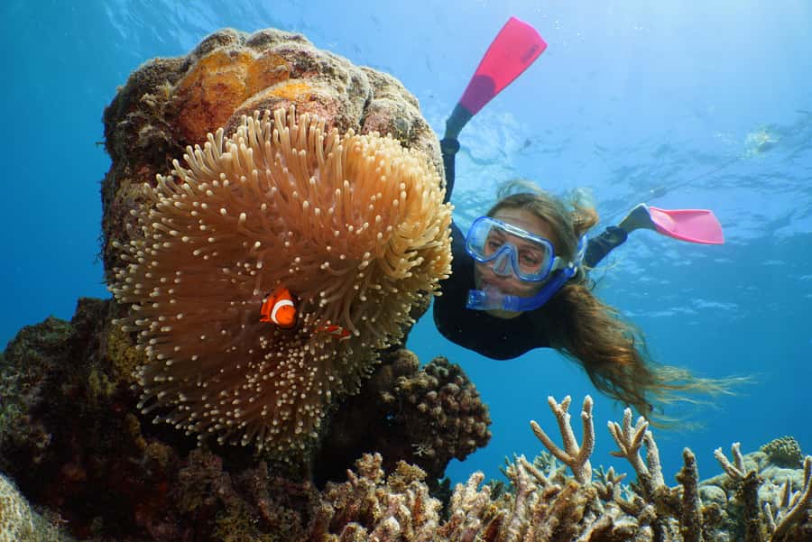 Port Douglas: Outer Barrier Reef Cruise & 10 Min Helicopter - Seeing the reef without getting wet