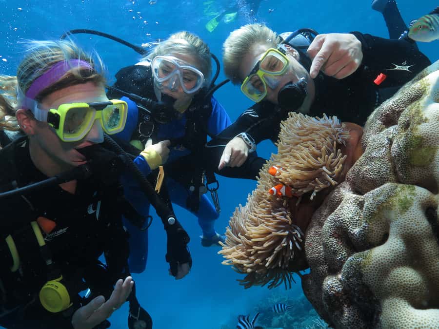 Port Douglas: Outer Barrier Reef Cruise & 10 Min Helicopter - Lunch, refreshments, and the practical rhythm of the day