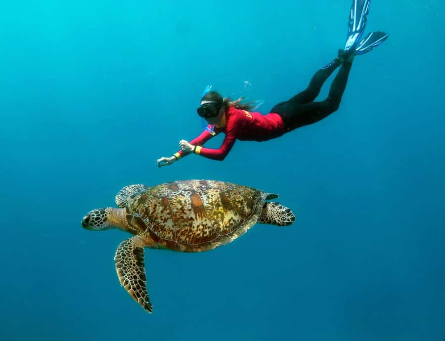 Port Douglas: Outer Barrier Reef Cruise & 10 Min Helicopter - Agincourt Reef and the three-and-a-half-hour activity platform