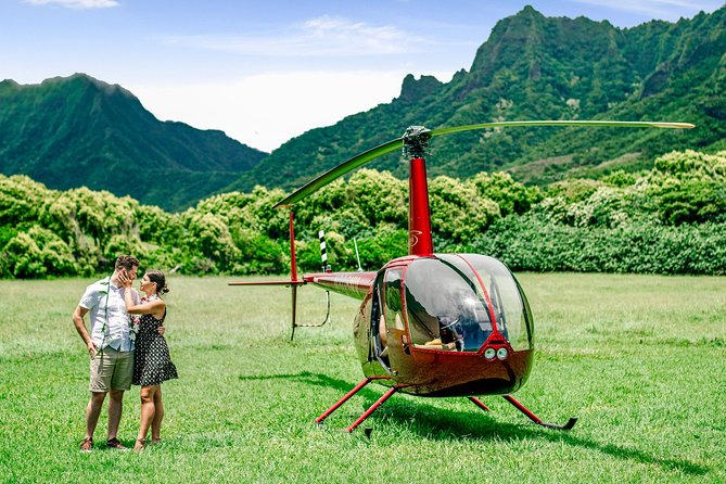 Private 45 Minute Helicopter Tour with Romantic Landing - The Lion, the maze, and North Shore views