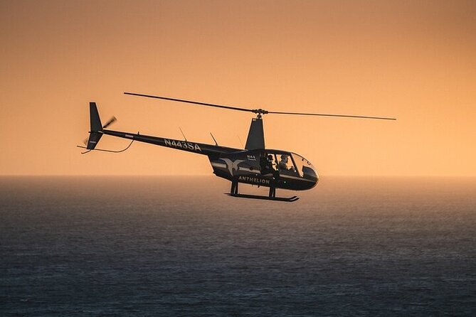 Private Helicopter Tour of Hollywood Sign, Beaches and More - Starting in Long Beach instead of Hollywood