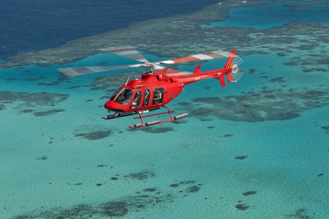Private Helicopter Tour: Reef Island Snorkeling and Gourmet Picnic Lunch - Turtle Beach and the Backup Plan