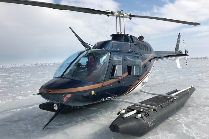 Private Tour: Niagara Falls Helicopter Flight - Key points to know before you book