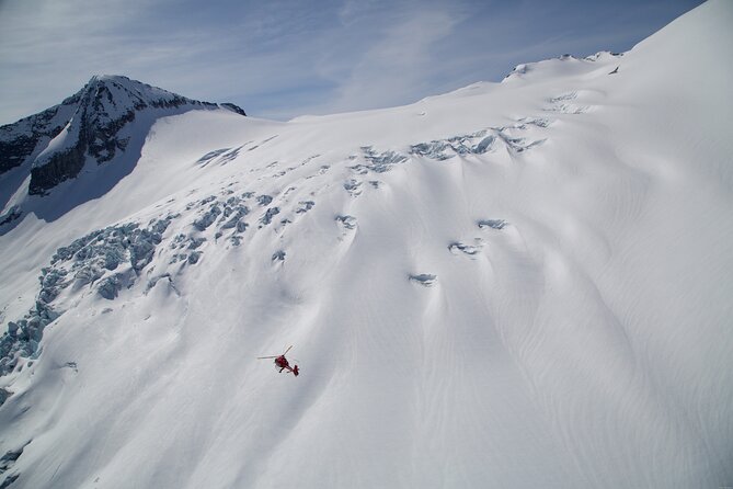 Private Whistler Helicopter Tour + Mountain Landing - Flying over ski runs and into the backcountry