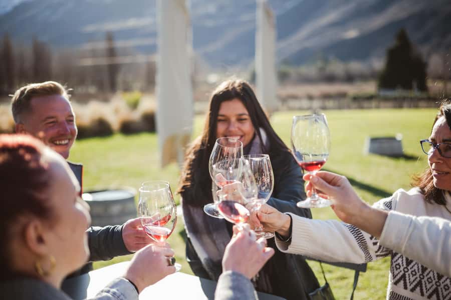Queenstown: Helicopter & Wine Tasting Tour - Practical tips for a smoother day