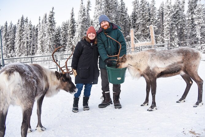 Reindeer and Heli Flightseeing Day Trip with Lunch - Key points to know before booking