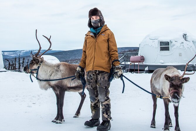 Reindeer and Heli Flightseeing Day Trip with Lunch - Lunch at Latitude 65