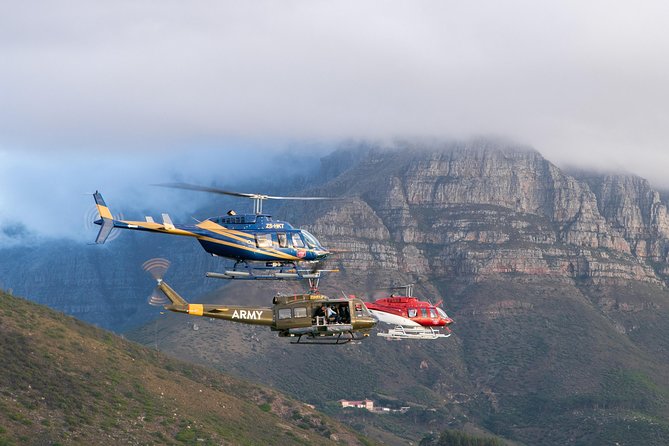Scenic Cape Point Helicopter Tour from Cape Town - Who should book this flight?