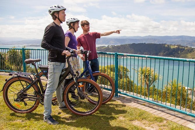 Scenic Wellington Helicopter Flight - A small group, with one important weight rule