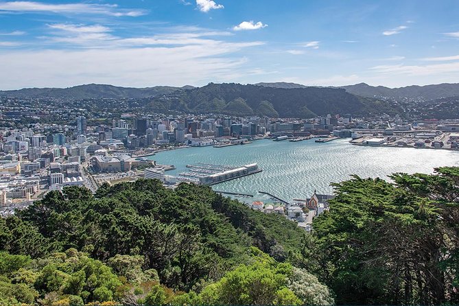 Scenic Wellington Helicopter Flight - Tips for making the most of the flight