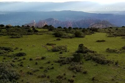 Secret Wilderness (45+ Mile) – Sedona Helicopter Tour