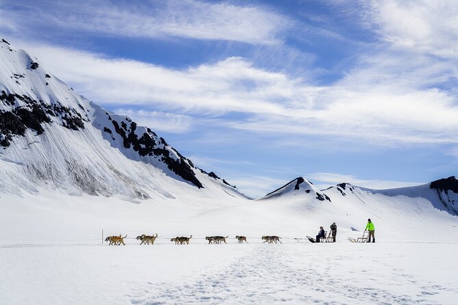 Seward: Helicopter Glacier Dogsled Tour with 2 Landings - Meeting the Dogs After the Run