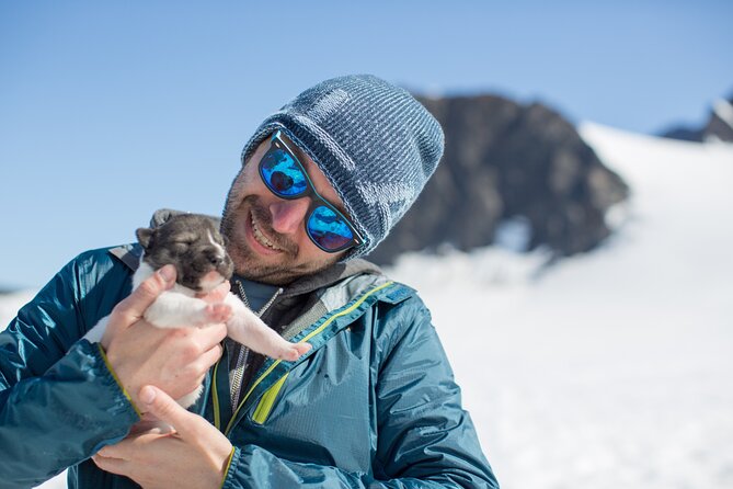 Seward: Helicopter Glacier Dogsled Tour with 2 Landings - Landing at the Summer Dog Camp