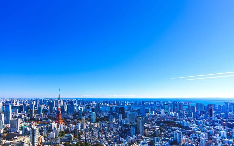 Tokyo: Guided Helicopter Ride - Choosing between the 20-minute and 30-minute routes