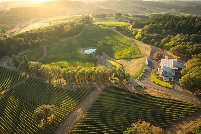 Tour DeVine by Heli - Helicopter Wine Tour - Key points at a glance
