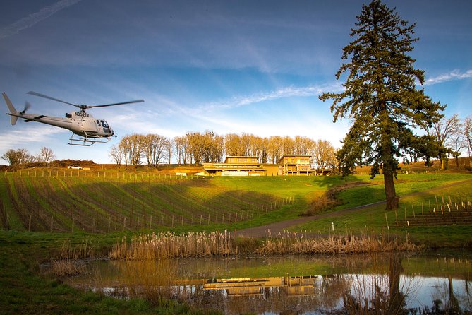 Tour DeVine by Heli - Helicopter Wine Tour - A picnic lunch from Red Hills Market