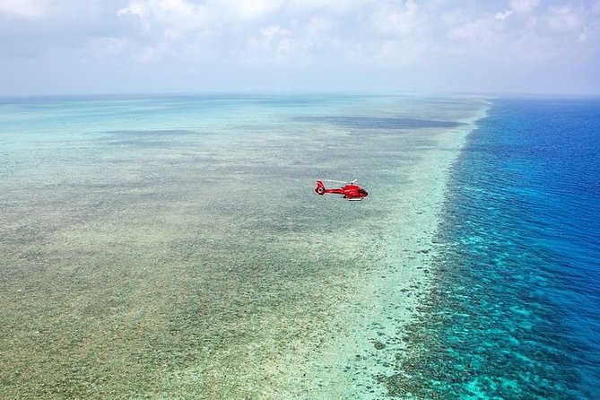 Ultimate Great Barrier Reef and Rainforest 45-minute Helicopter Tour - Weather can change the whole plan