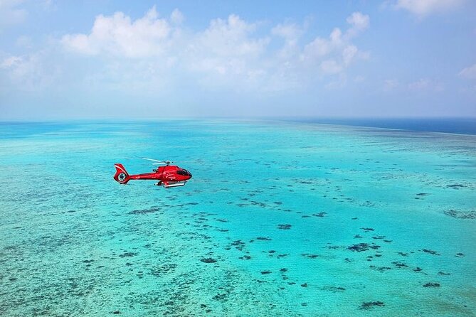 Ultimate Great Barrier Reef and Rainforest 45-minute Helicopter Tour - Weight rules and practical costs