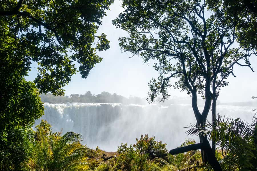 Victoria Falls Helicopter Tour - Who Will Like This Best?