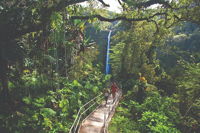 Volcano Adventure: Hilo Sightseeing w/ Optional Helicopter Tour - Banyan Drive gives you a quick Hilo introduction