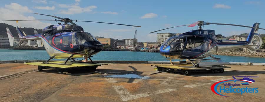 Wellington Helicopter Scenic Flight - The First View: Wellington CBD and Harbour