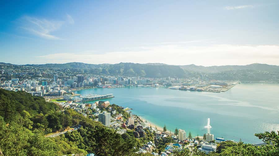 Wellington Helicopters Scenic Harbour Flight - Key points at a glance