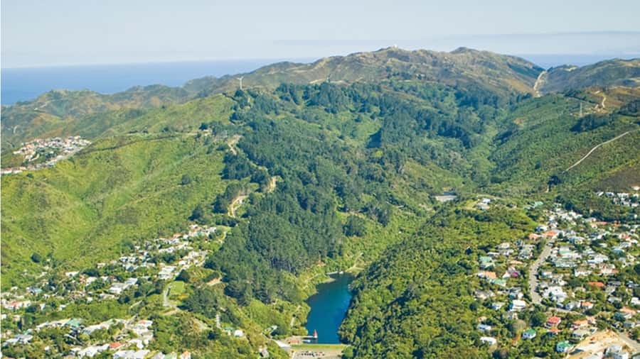 Wellington Helicopters Scenic Harbour Flight - Te Papa, the Beehive, and the Cake Tin