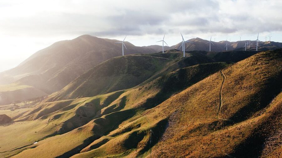 Wellington: Scenic South Coast Discovery Helicopter Flight - Key points to know before you fly