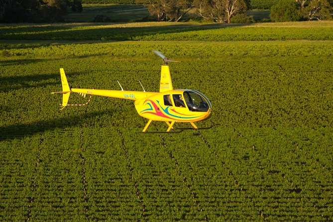 Western Ridge & Valley Floor: 20-Minute Helicopter Flight - Taking off from Lyndoch and Hoffnungsthal Valley
