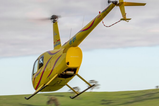 Western Ridge & Valley Floor: 20-Minute Helicopter Flight - Why the headset and live commentary matter