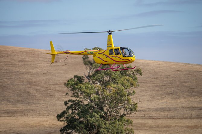 Western Ridge & Valley Floor: 20-Minute Helicopter Flight - Who will enjoy this most?