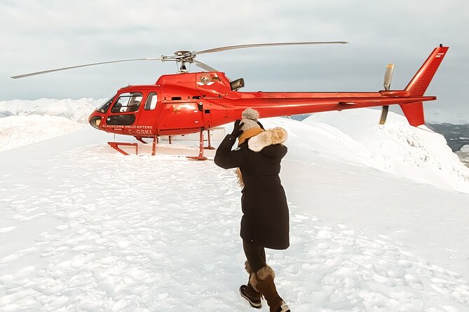 Whistler Helicopter Tour + Mountain Landing - Garibaldi Provincial Park from above